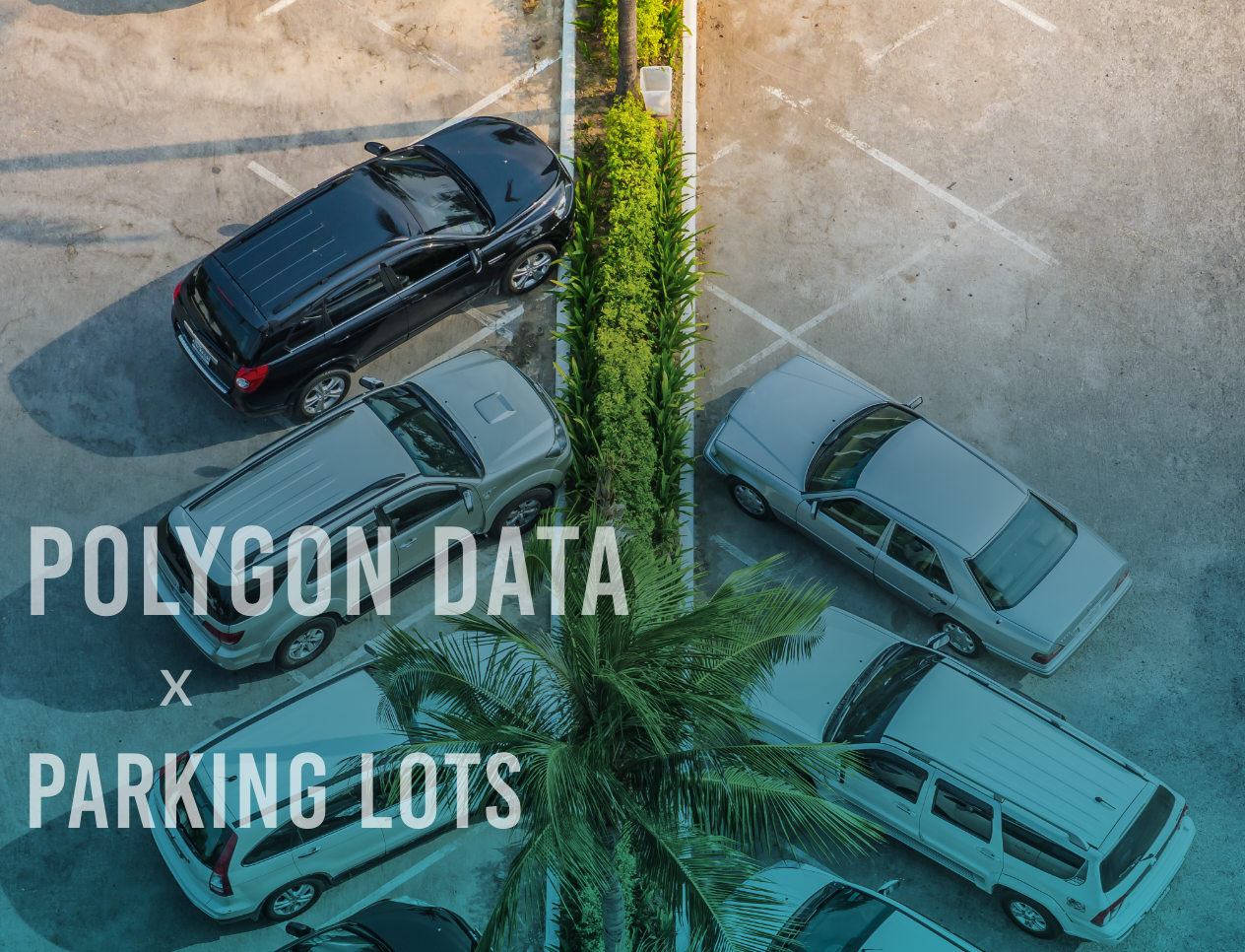 Parking Lot Polygon Data